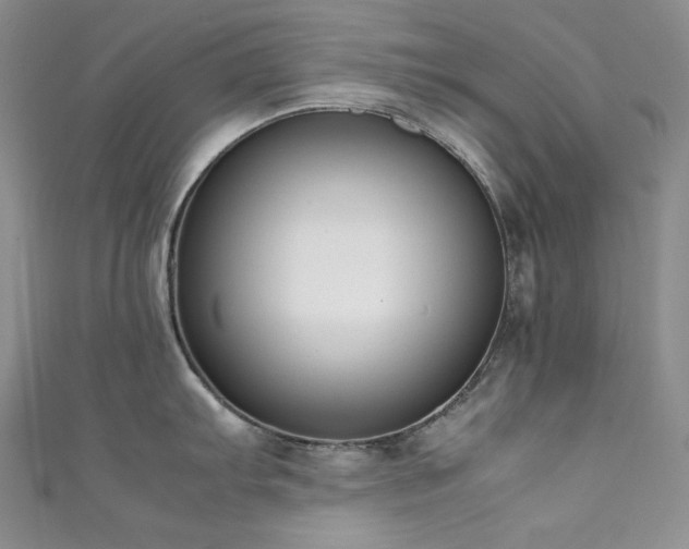 X0000111851103200907231423