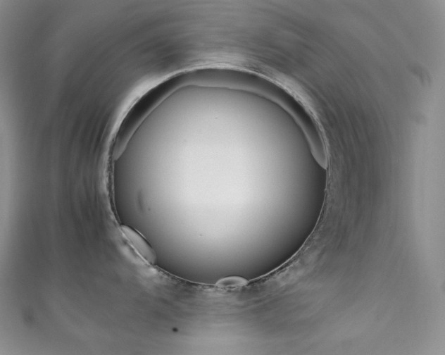 X0000111851104200907231423