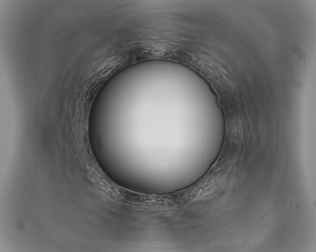 X0000111851105200907231423