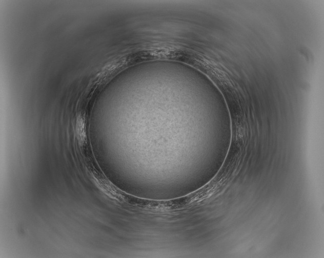 X0000111851106200907231423