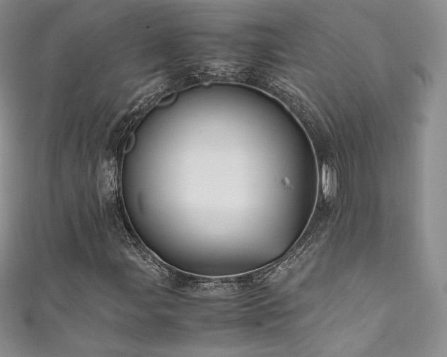 X0000111851107200907231423