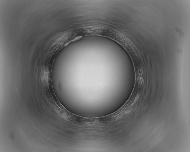X0000111851108200907231423