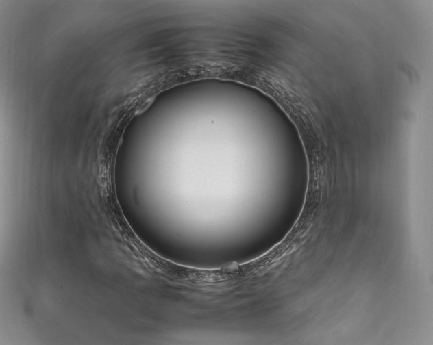 X0000111851109200907231423