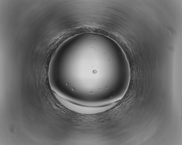 X0000111851110200907231423