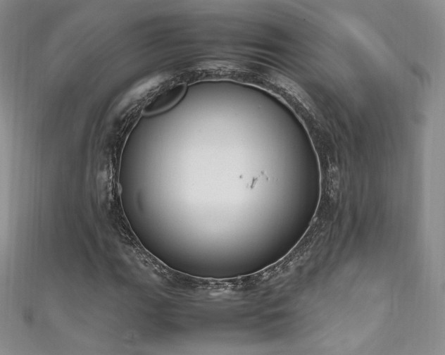 X0000111851111200907231423