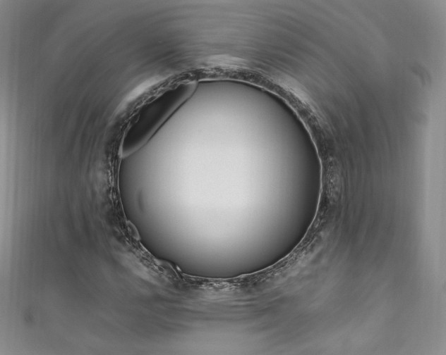 X0000111851112200907231423