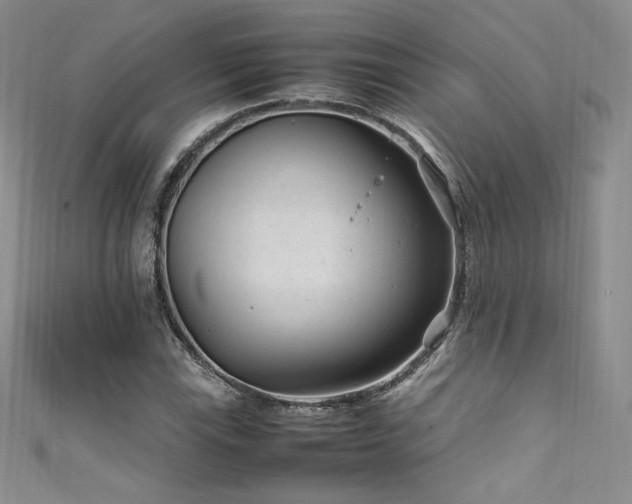 X0000111851115200907231423