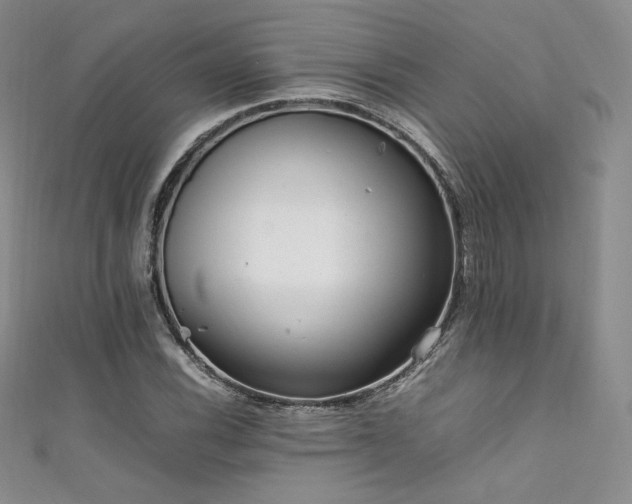 X0000111851116200907231423
