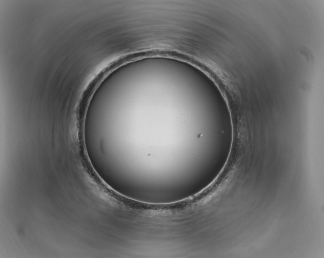 X0000111851118200907231423