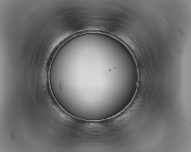 X0000111851119200907231423