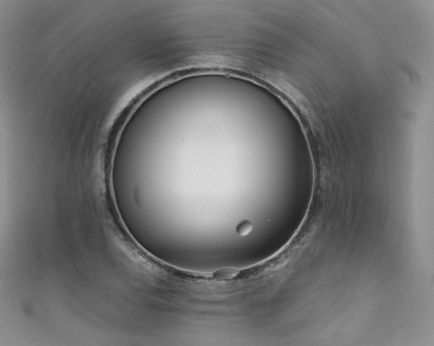 X0000111851120200907231423