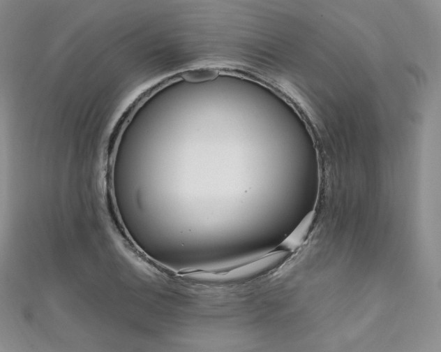 X0000111851124200907231423