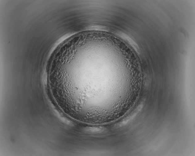 X0000111851125200907231423