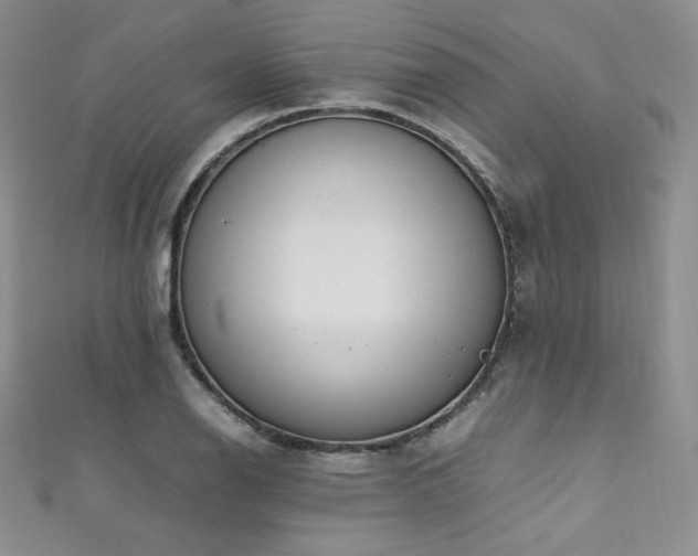 X0000111851126200907231423