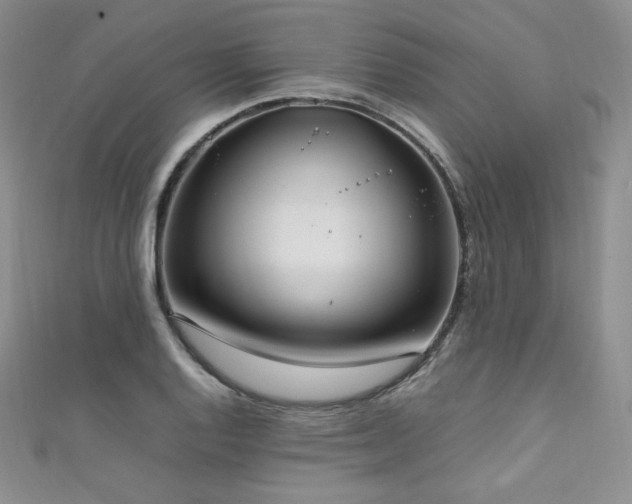 X0000111851128200907231423