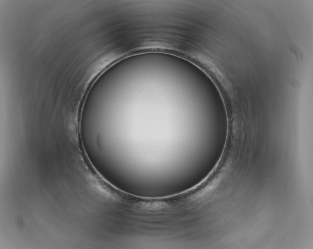 X0000111851129200907231423