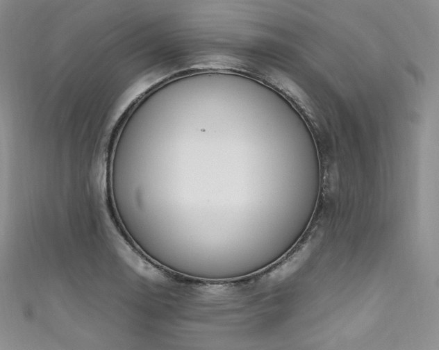 X0000111851130200907231423