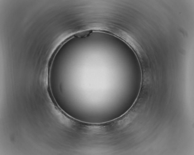 X0000111851132200907231423
