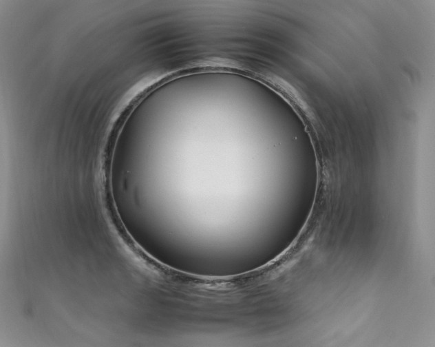 X0000111851133200907231423