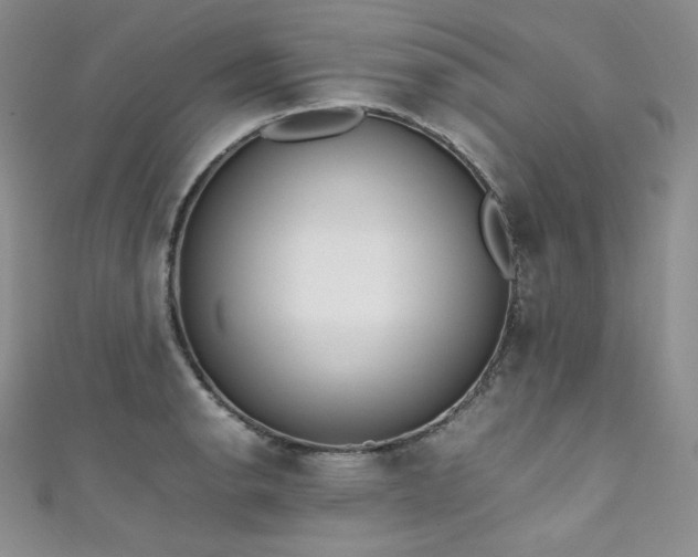 X0000111851134200907231423
