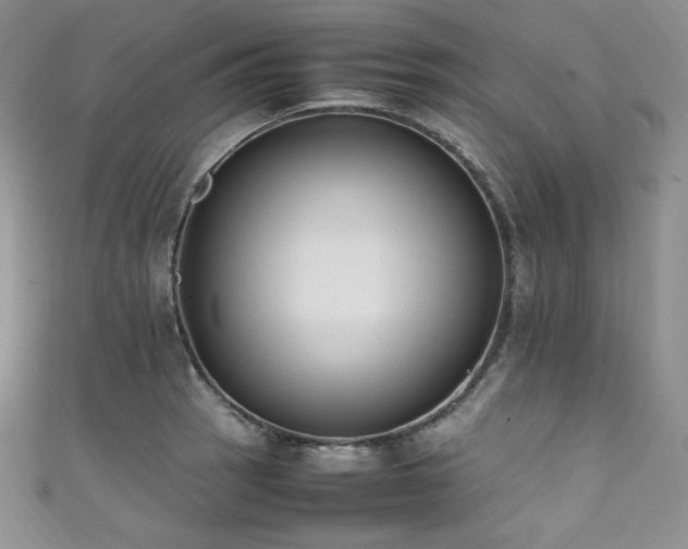 X0000111851137200907231423