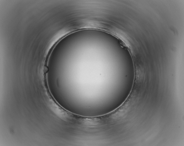 X0000111851138200907231423