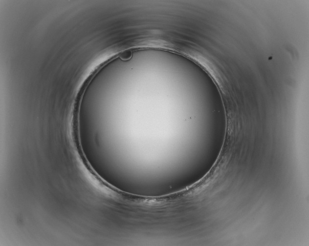 X0000111851139200907231423
