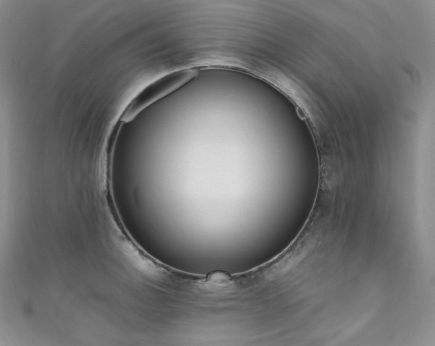 X0000111851140200907231423