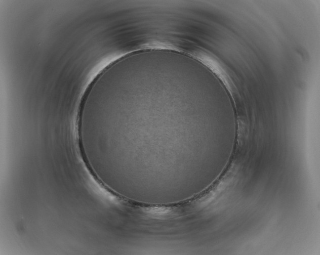 X0000111851141200907231423