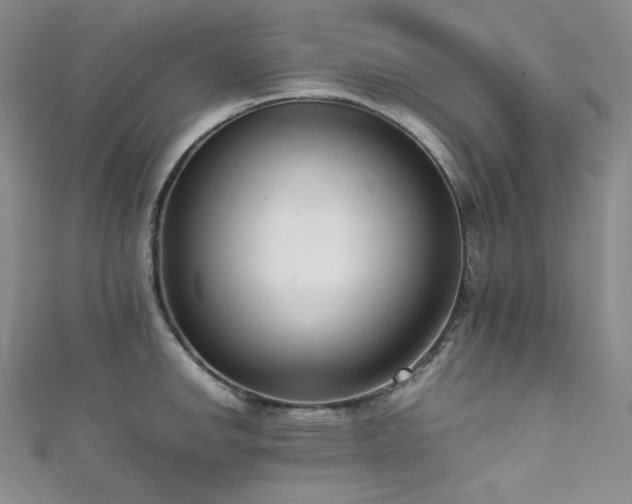 X0000111851142200907231423