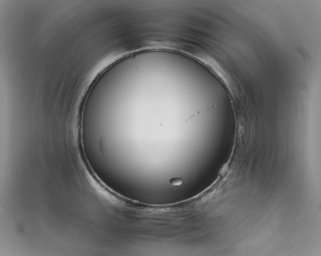 X0000111851143200907231423