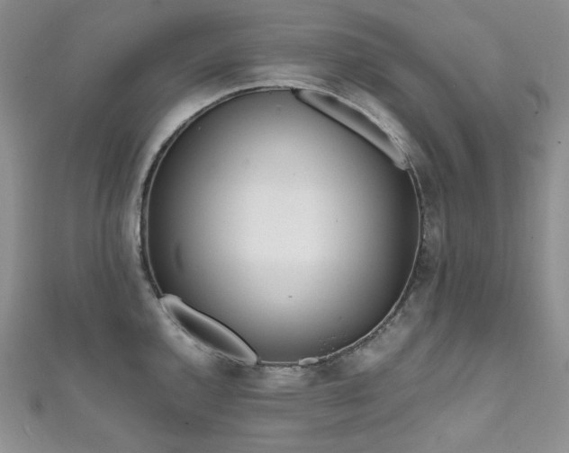 X0000111851144200907231423