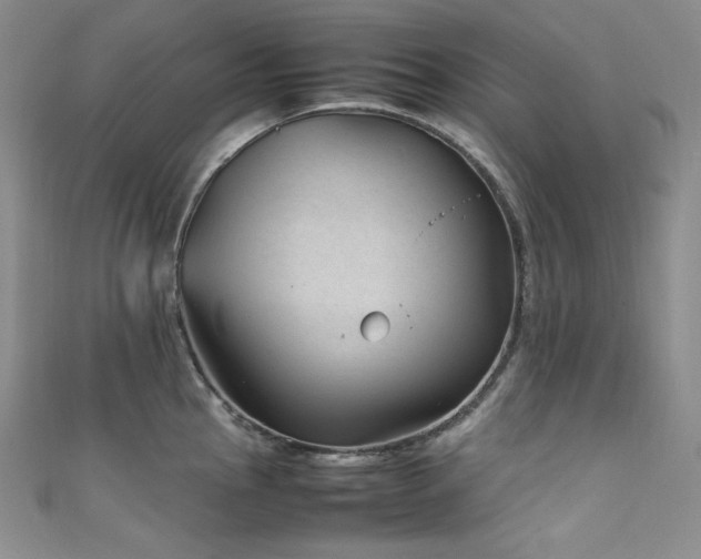 X0000111851145200907231423