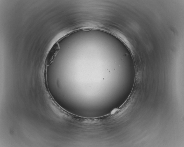 X0000111851146200907231423