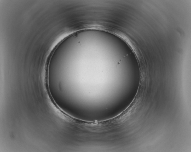 X0000111851147200907231423