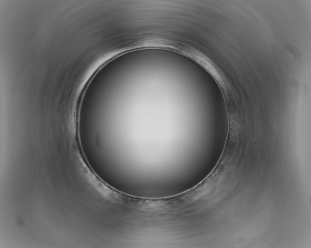 X0000111851148200907231423
