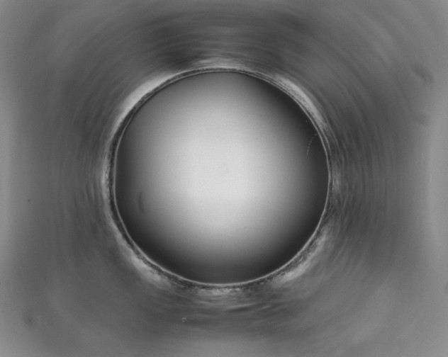 X0000111851149200907231423