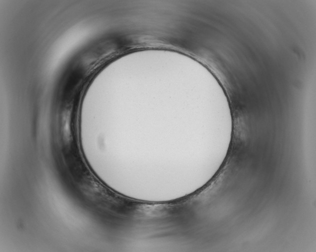 X0000111851150200907231423