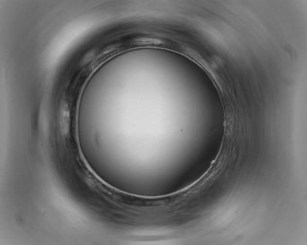X0000111851151200907231423