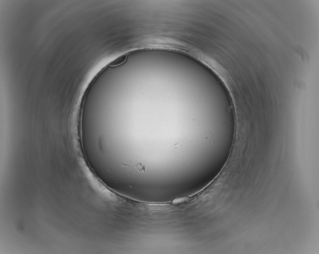 X0000111851152200907231423