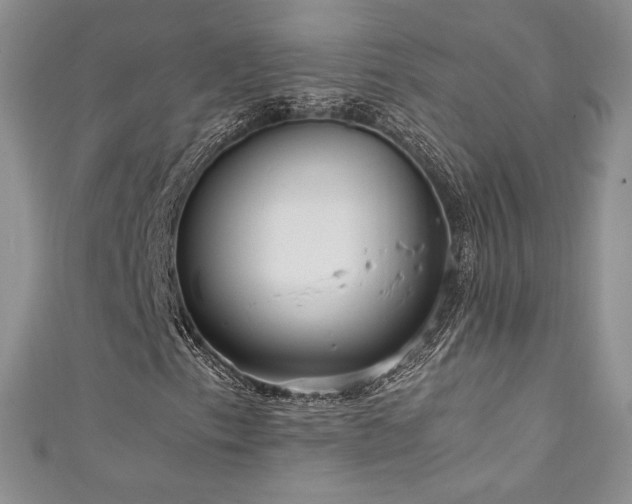 X0000111851153200907231423
