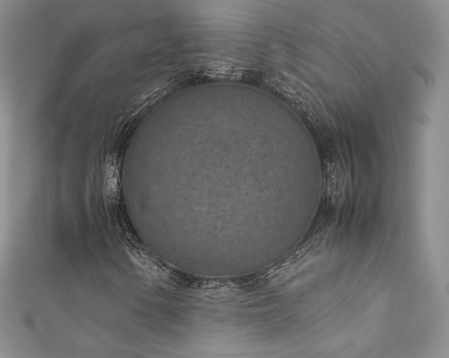 X0000111851154200907231422