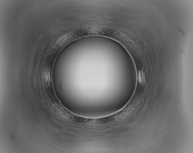 X0000111851155200907231422