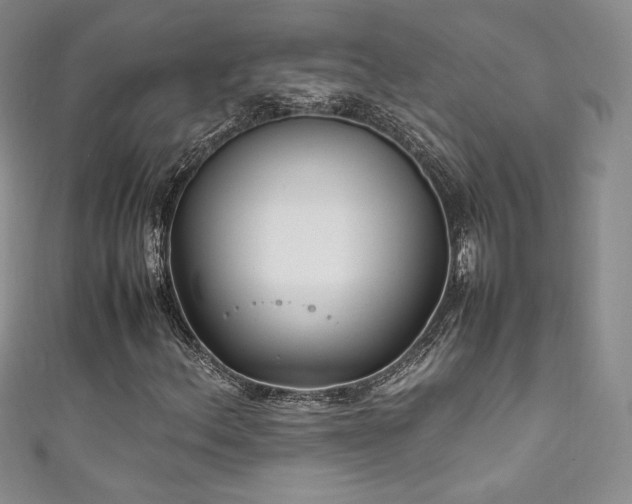X0000111851156200907231422