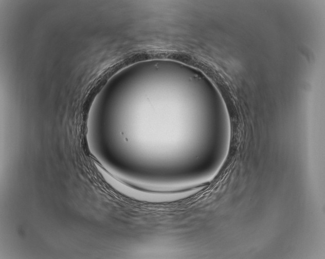 X0000111851157200907231422