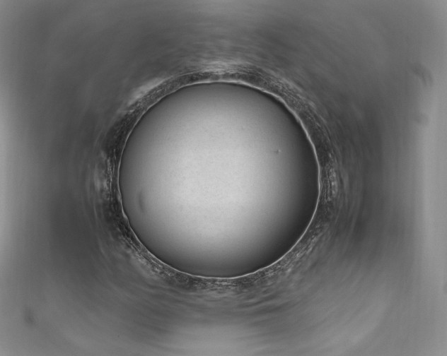 X0000111851158200907231422