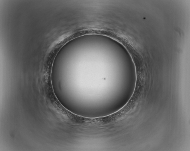 X0000111851159200907231422