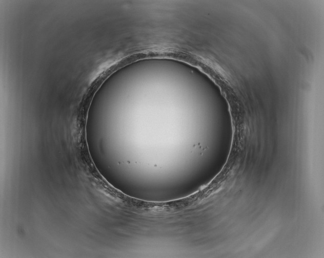 X0000111851160200907231422