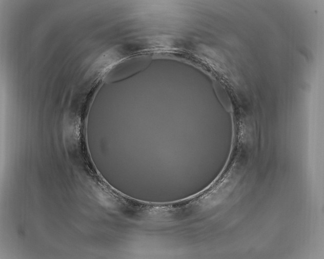 X0000111851161200907231422