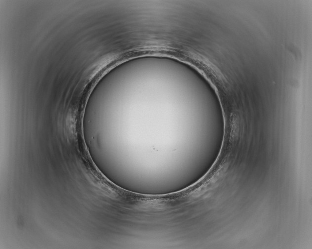 X0000111851162200907231422